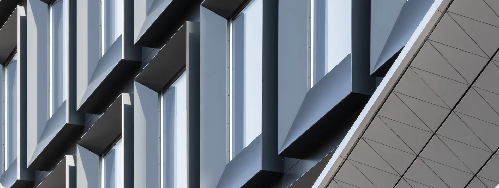 brave_ip4VOhTXFc cover