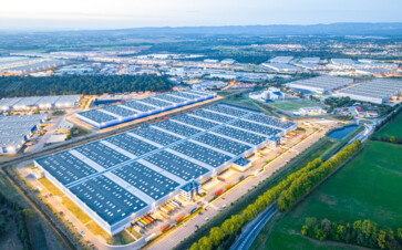 2022.10--St Martin de Crau©ThomasGarcia-20